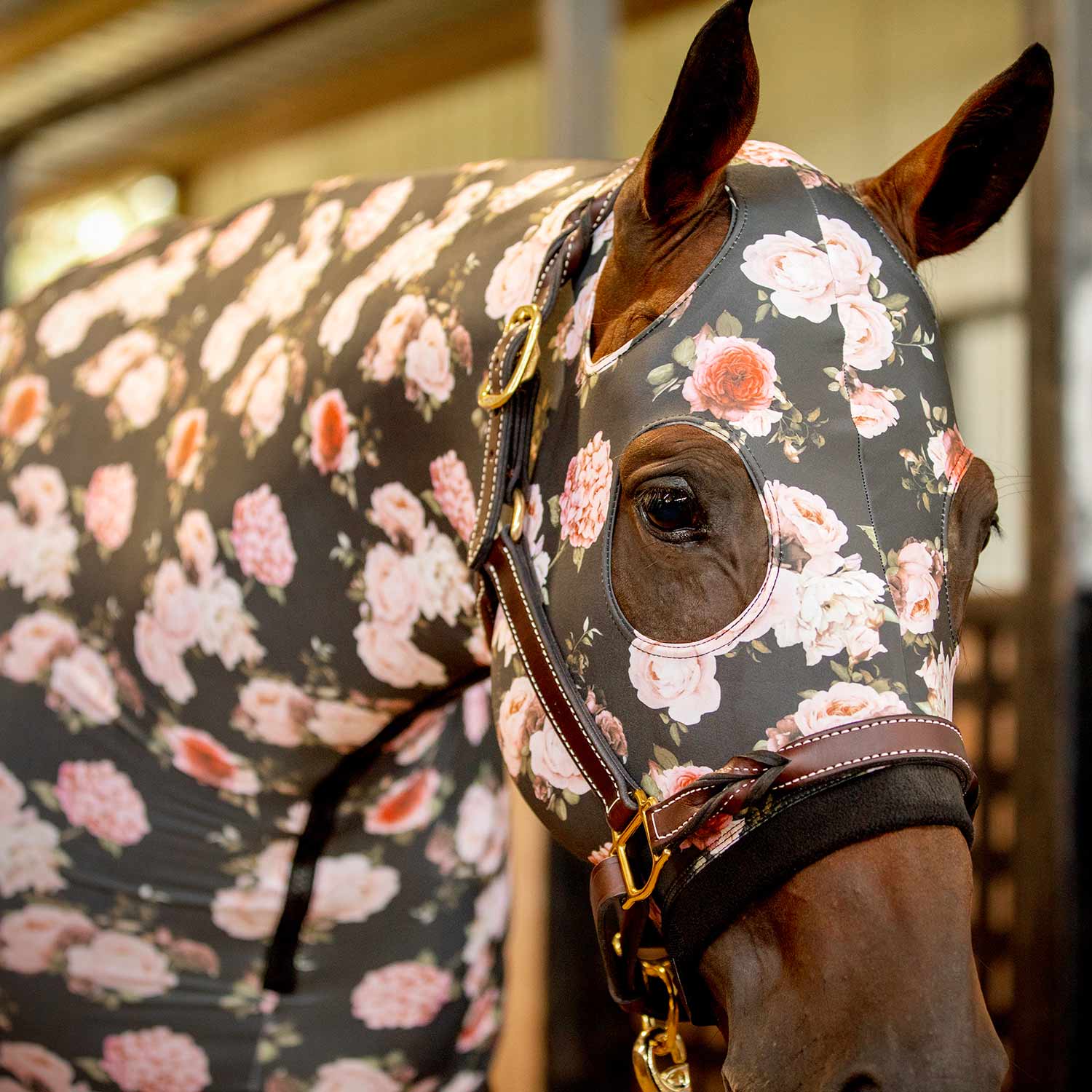 Expression Lycra Hood, Rose Garden - Pet's Shop