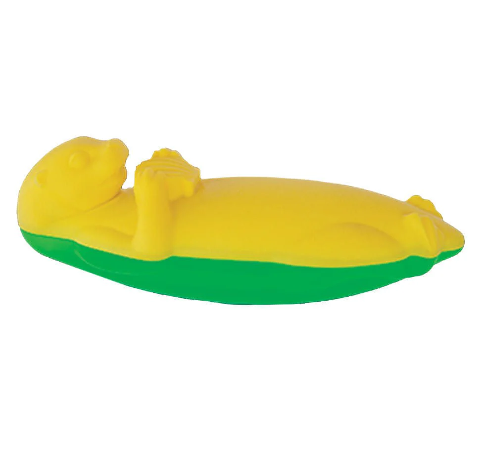 AquaFOAM Floating Dog Toys - Pet's Shop