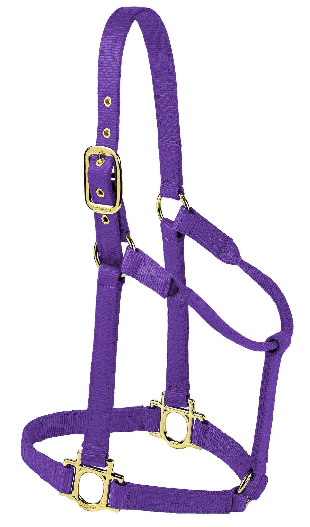 Valhoma Premium Nylon Halter - Pet's Shop
