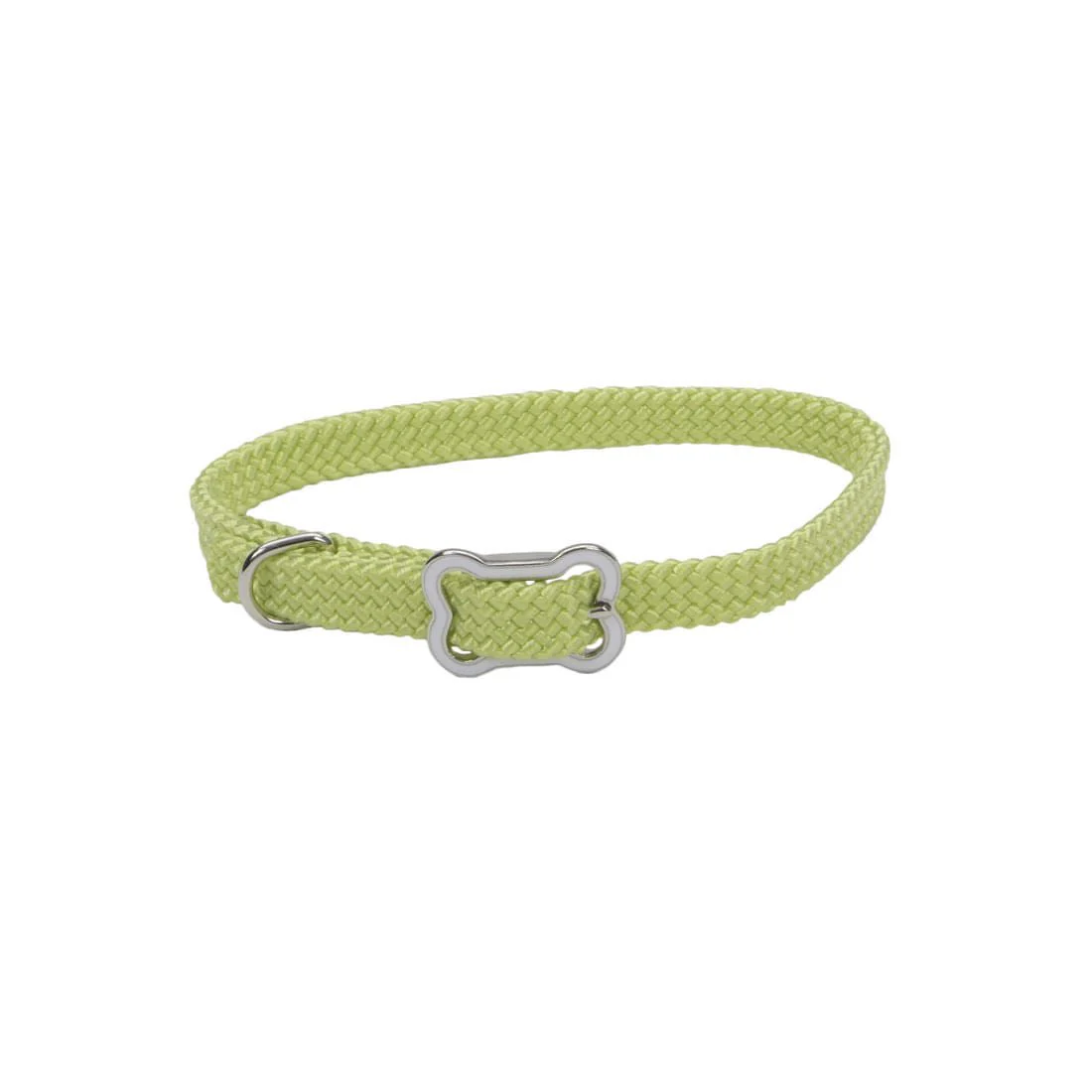 Sunburst Dog Collar with Bone Buckle - Pet's Shop