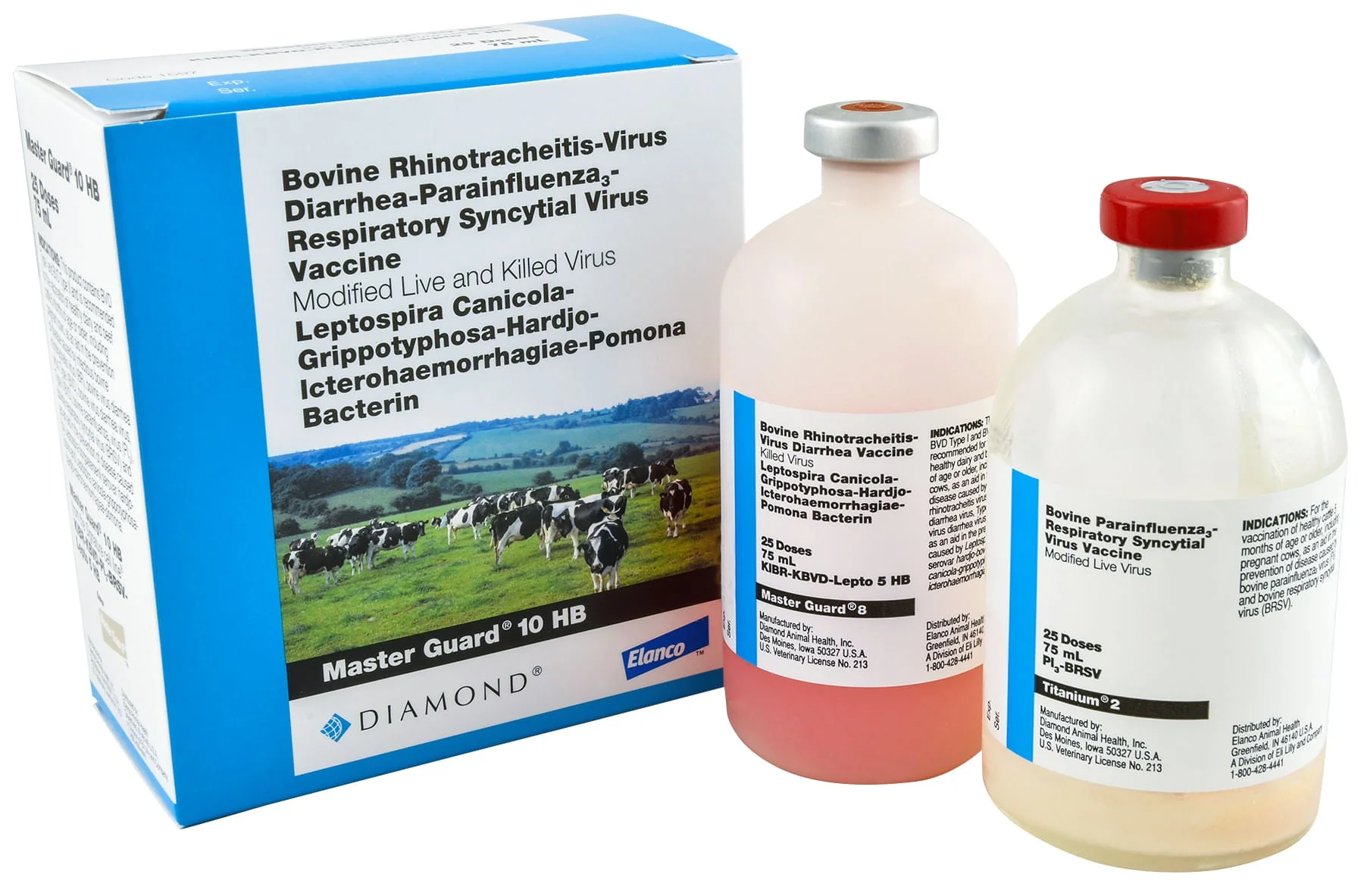 Master Guard 10 HB - Pet's Shop