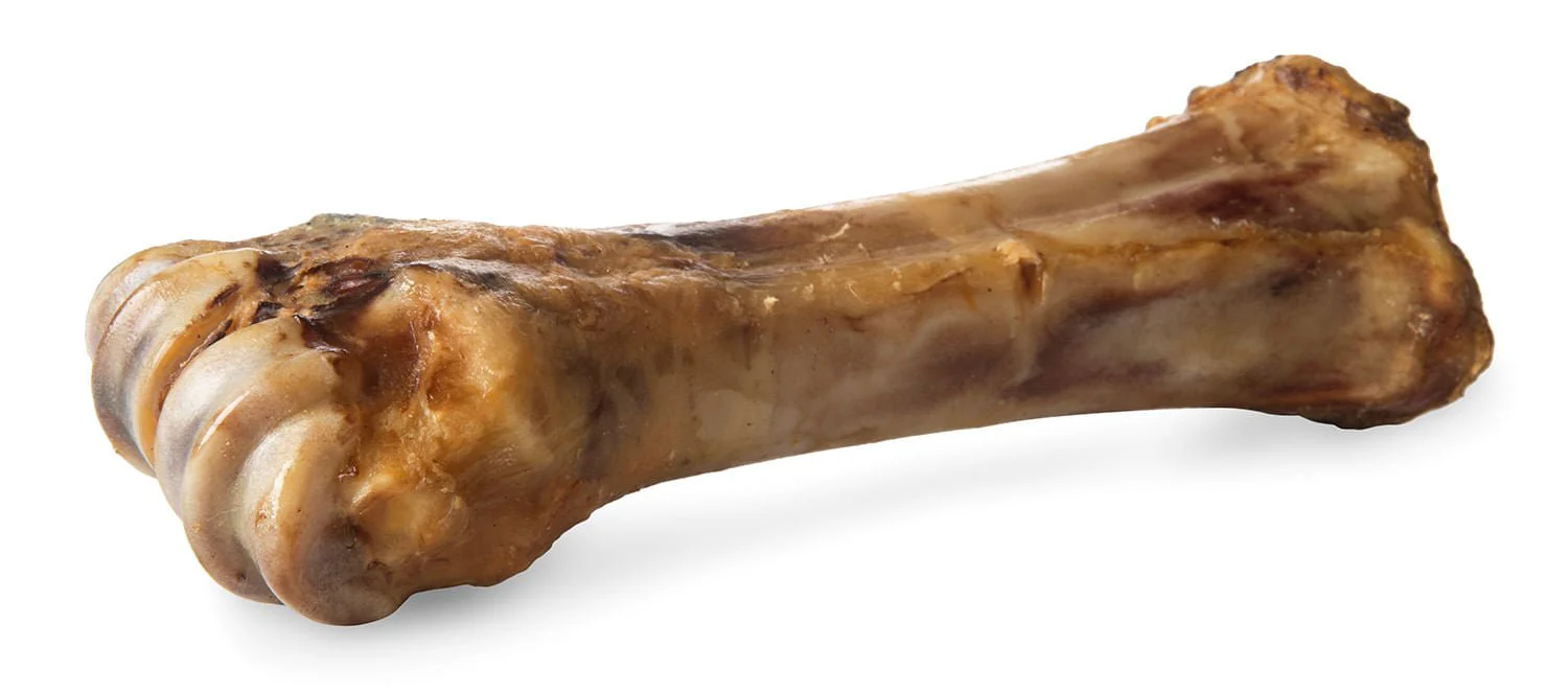 ChewMax Beef Shank Bone - Pet's Shop