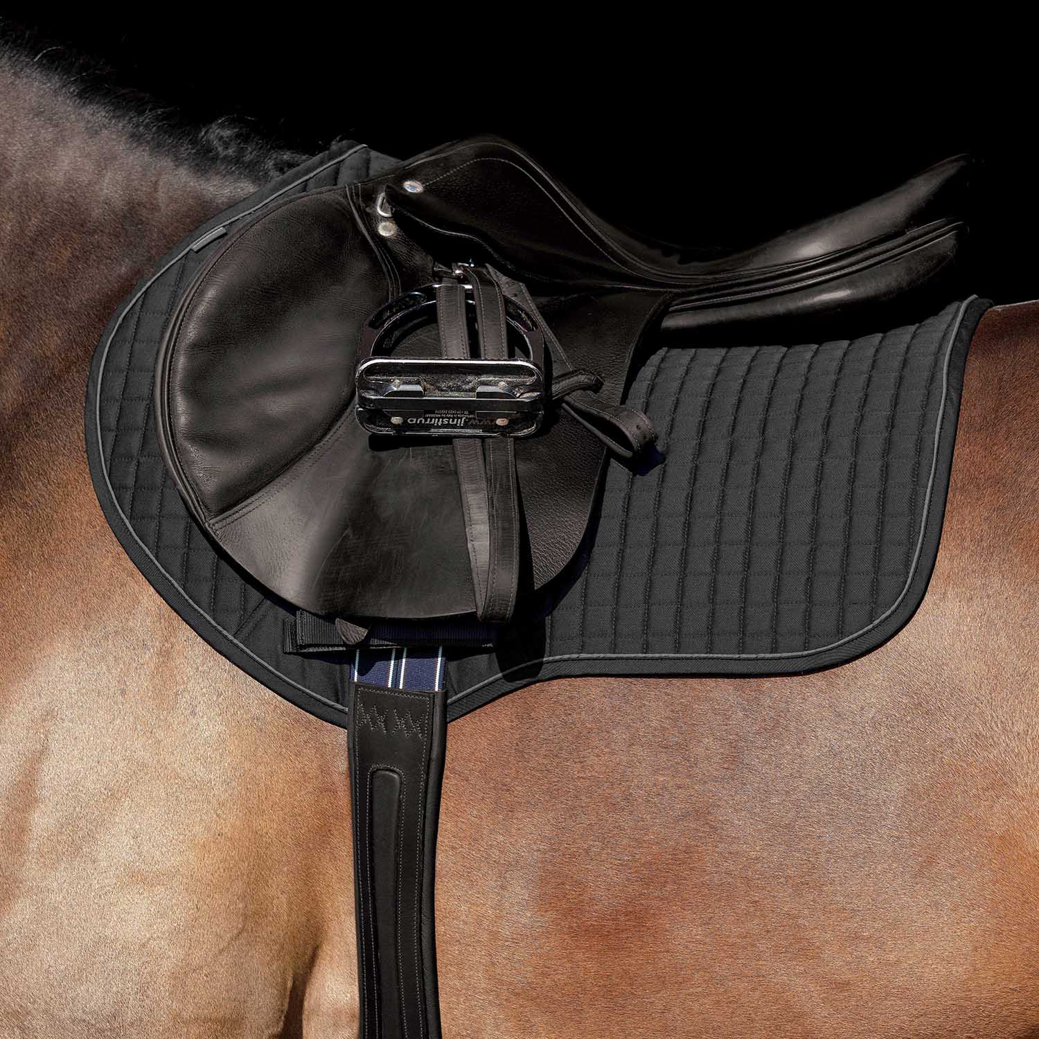 Horseware Everyday Show Jumping Saddle Pad - Pet's Shop