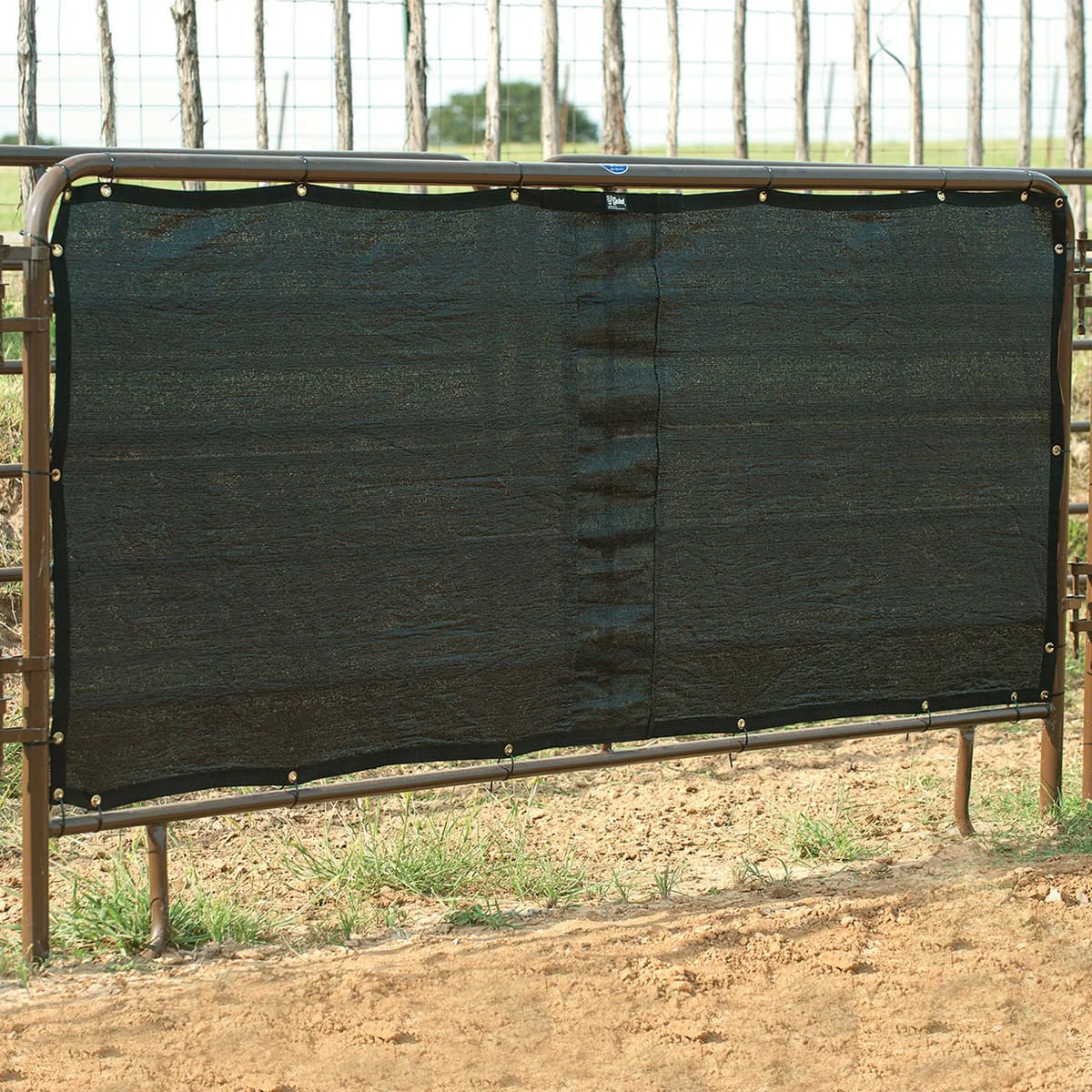 Panel Screen - Pet's Shop