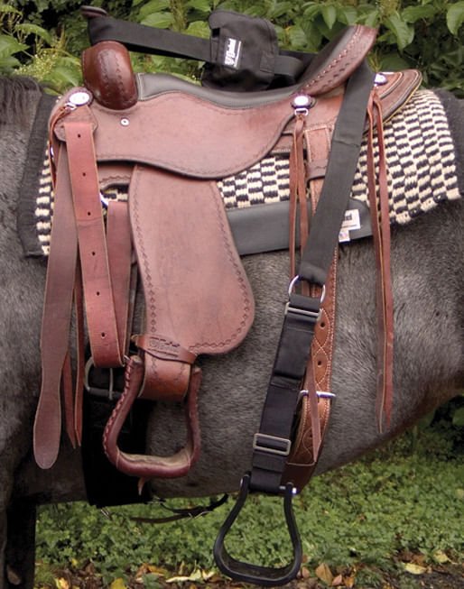 Step-Up Stirrup (ea) - Pet's Shop