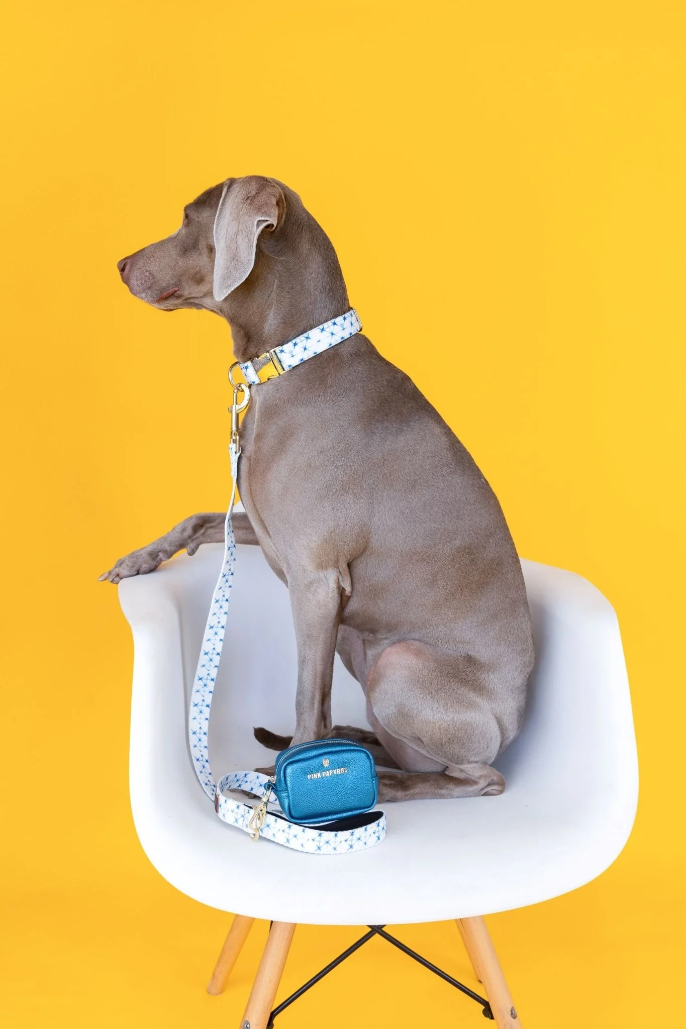 Pink Papyrus Avery Dog Leash, 6ft - Pet's Shop