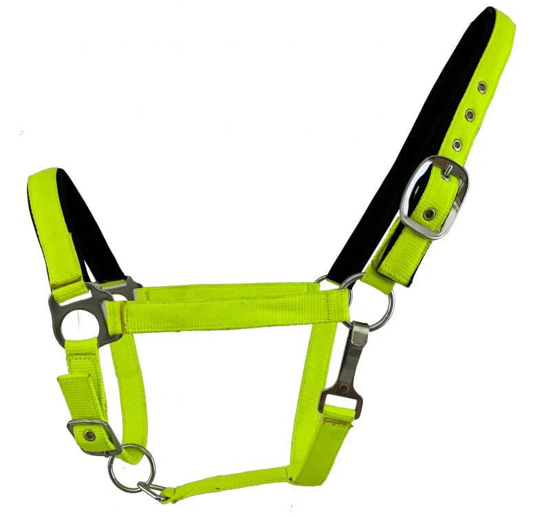 Showman Fluorescent Halters, Full - Pet's Shop
