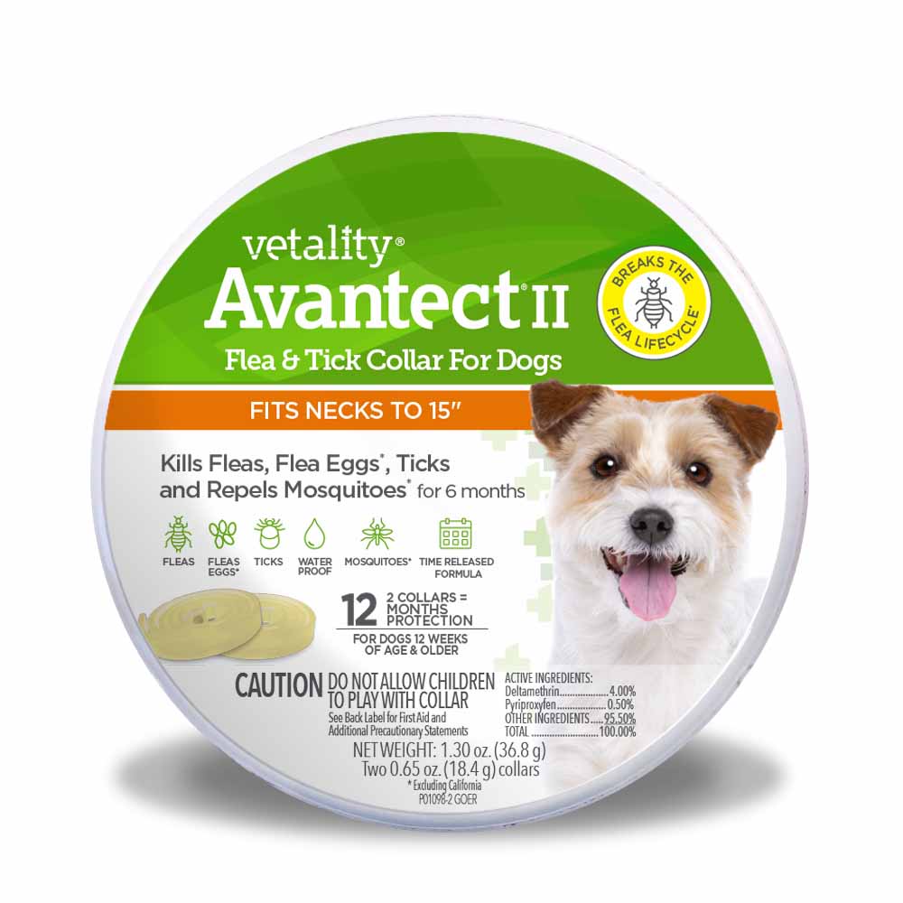 Vetality Avantect II Flea & Tick Collar for Dogs, 2 pack - Pet's Shop