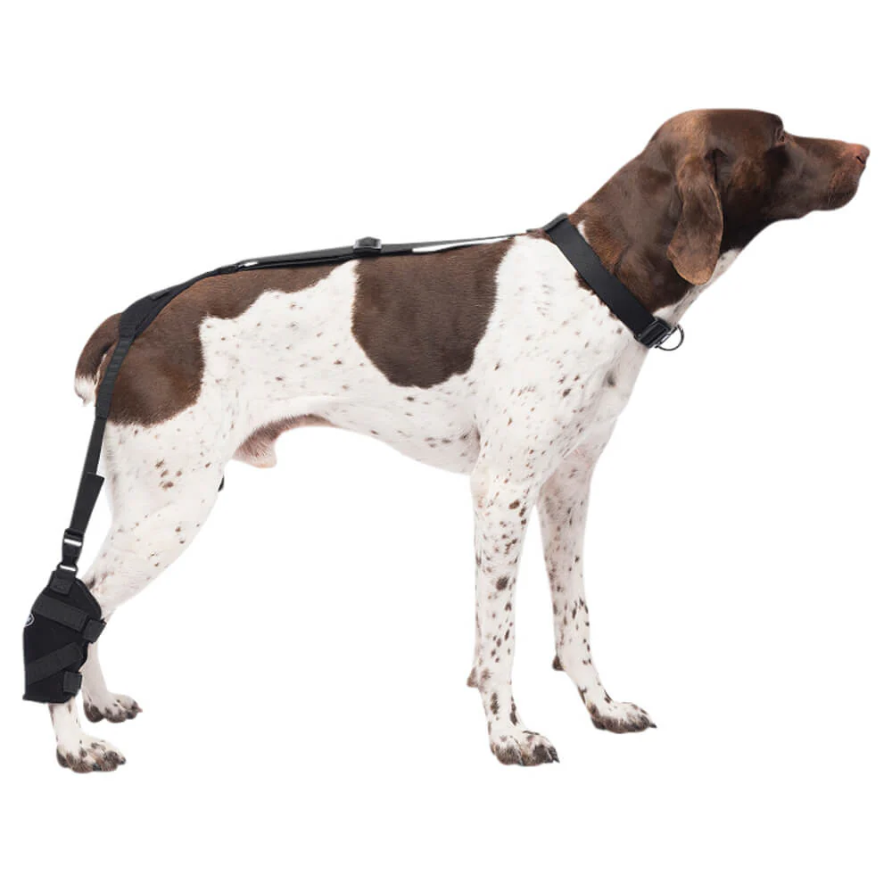 Caldera Pet Therapy Tarsal Wrap with Therapy Gel - Pet's Shop
