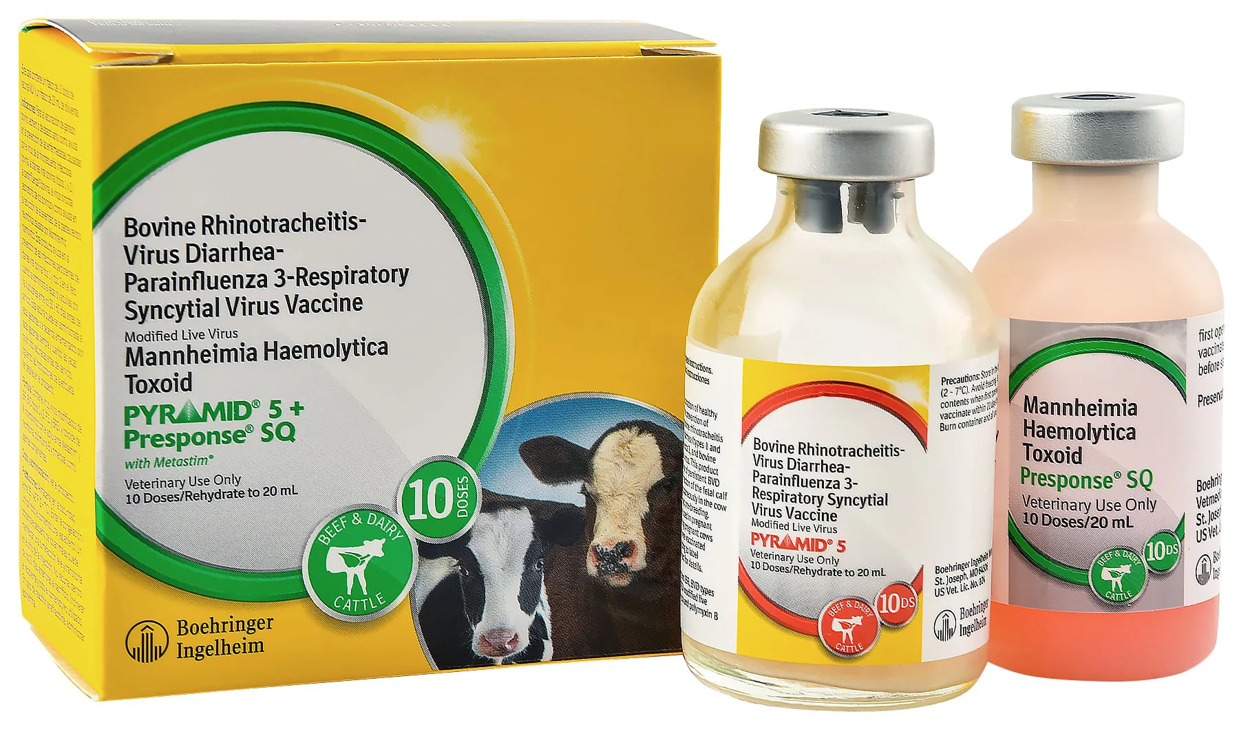 Pyramid 5 + Presponse SQ - Pet's Shop