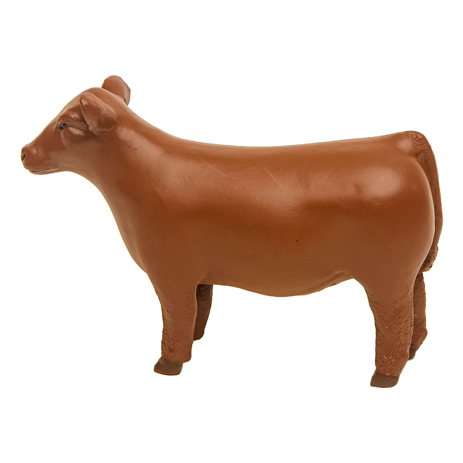 Little Buster Champion Show Steer - Pet's Shop