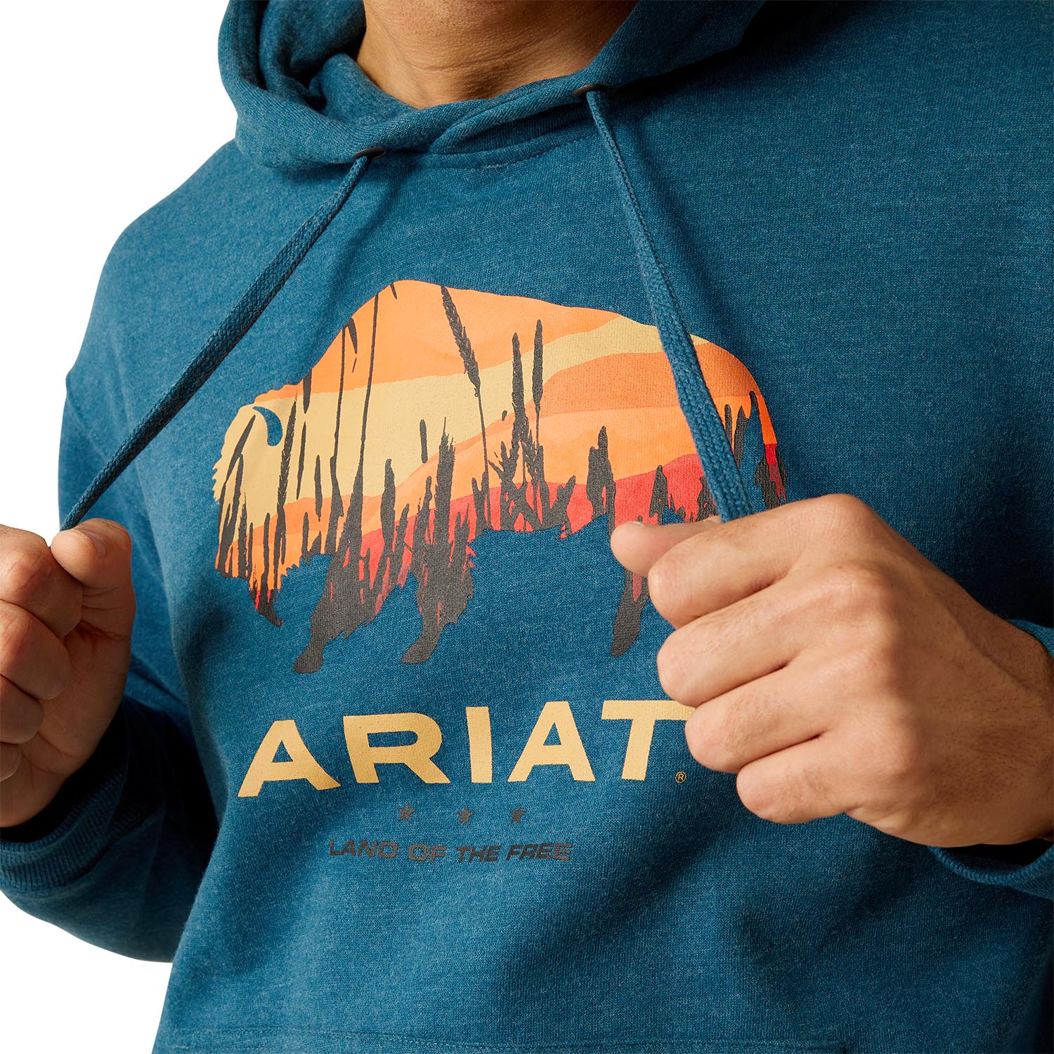 Ariat Men's Bison Plains Hoodie - Pet's Shop