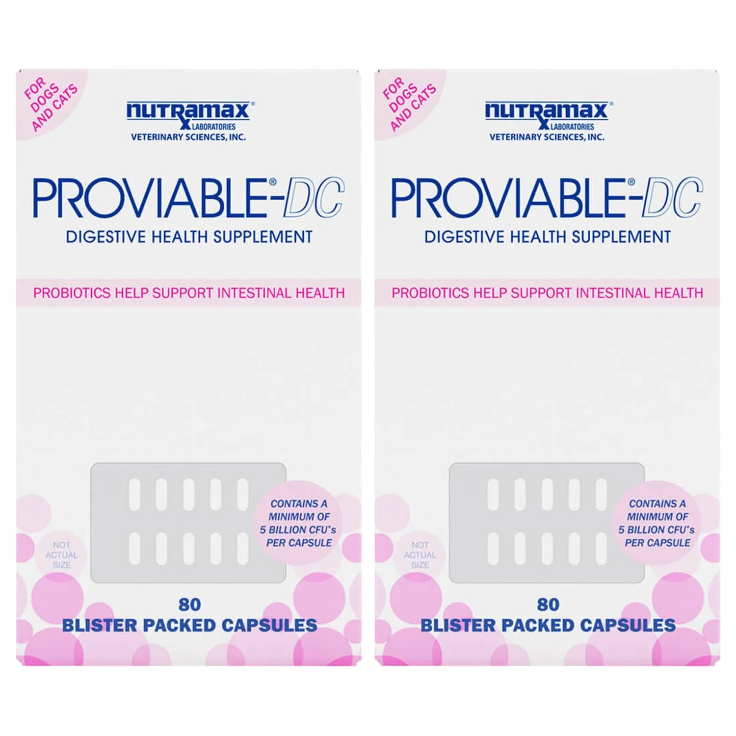 Nutramax Proviable-DC for Dogs & Cats - Pet's Shop