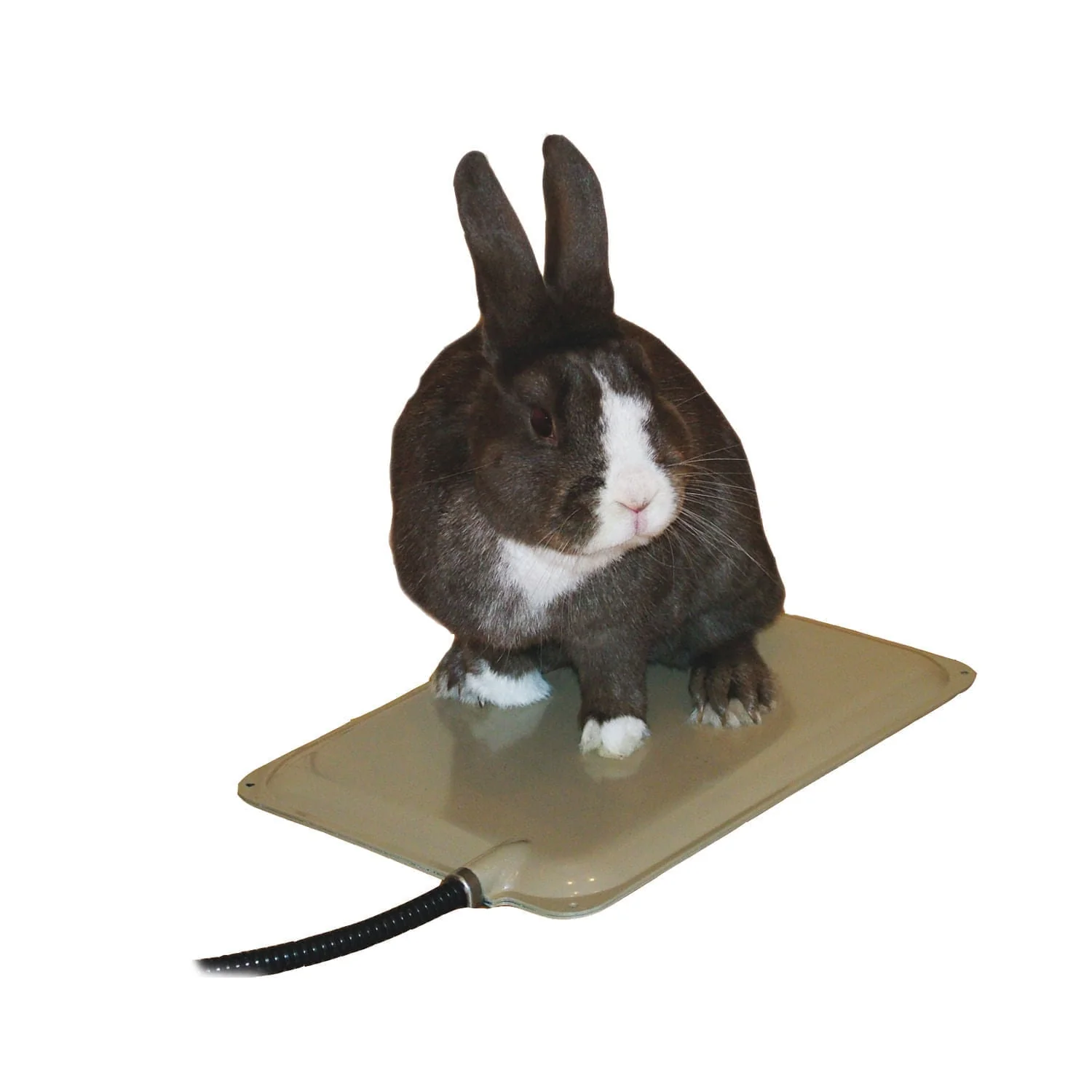 K&H Small Animal Heated Pad (& Accessories) - Pet's Shop