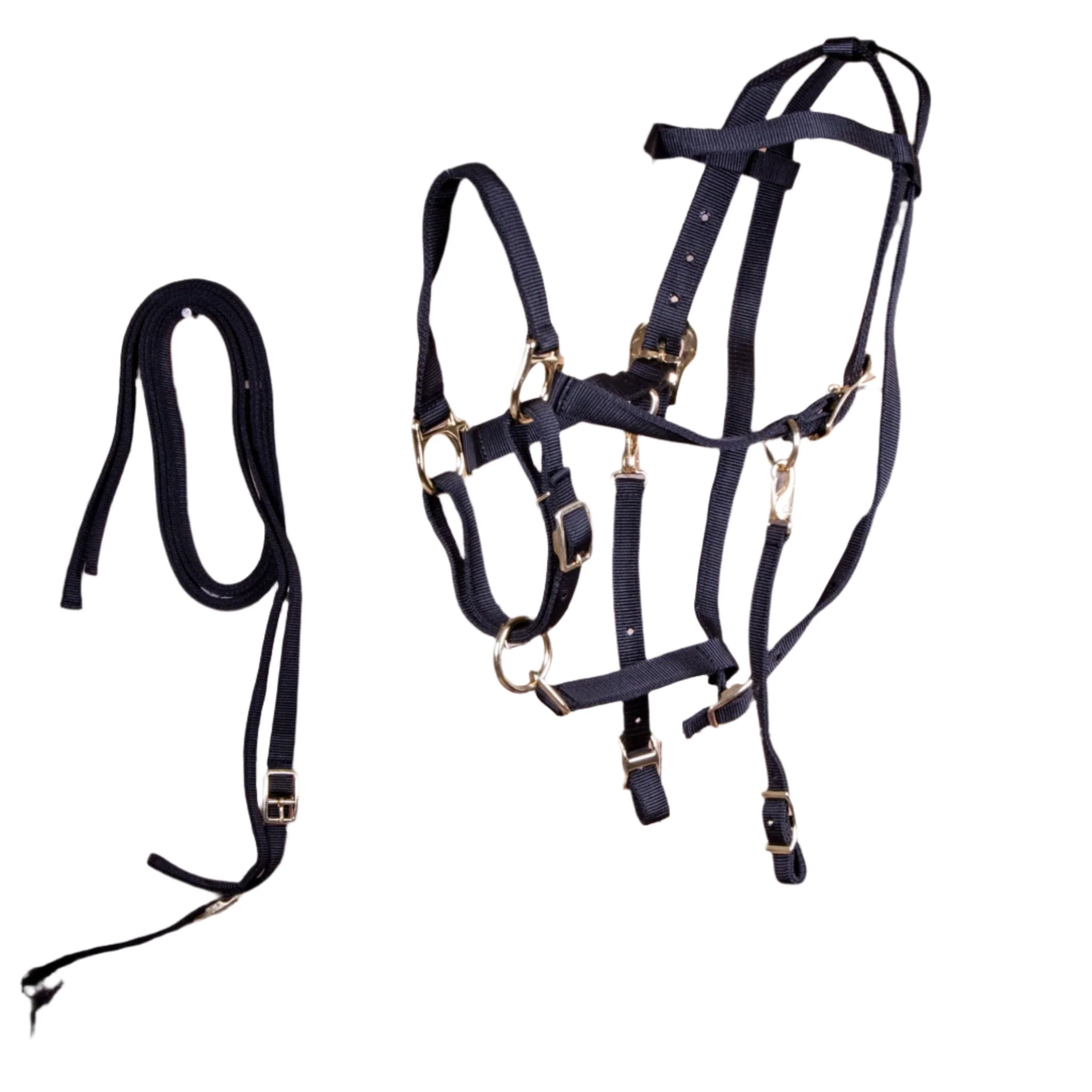 Nylon Combination Horse Halter Bridle with Reins - Pet's Shop