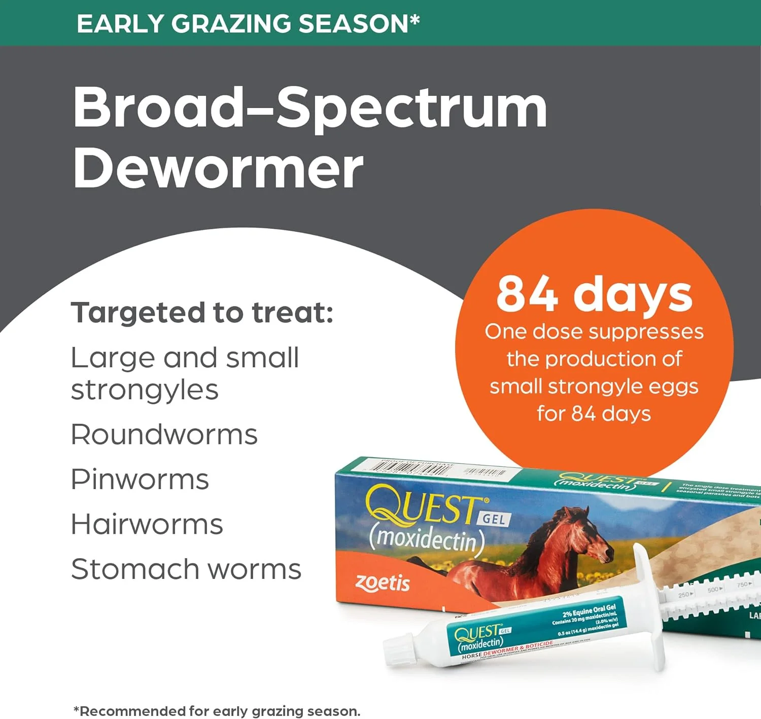 Quest Gel Horse Dewormer - Pet's Shop
