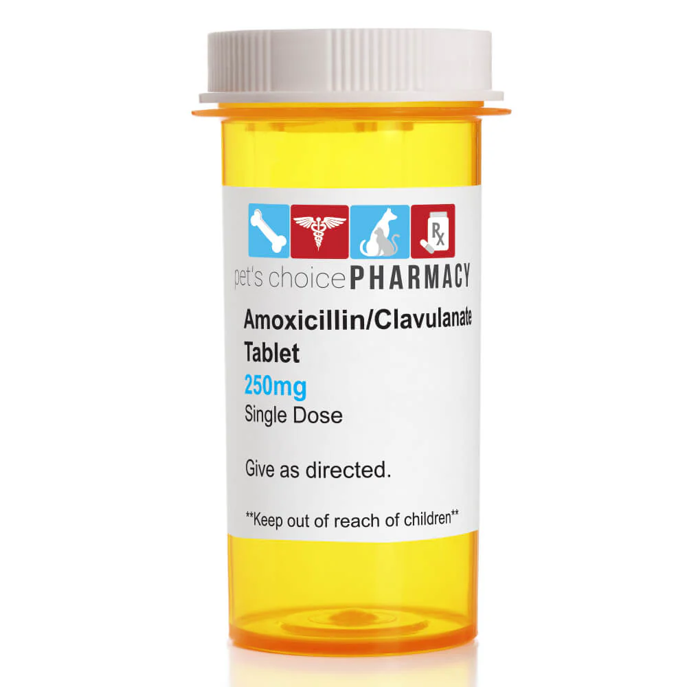 Rx Clavacillin (amoxicillin trihydrate/clavulanate potassium) Tablets for Dogs - Pet's Shop