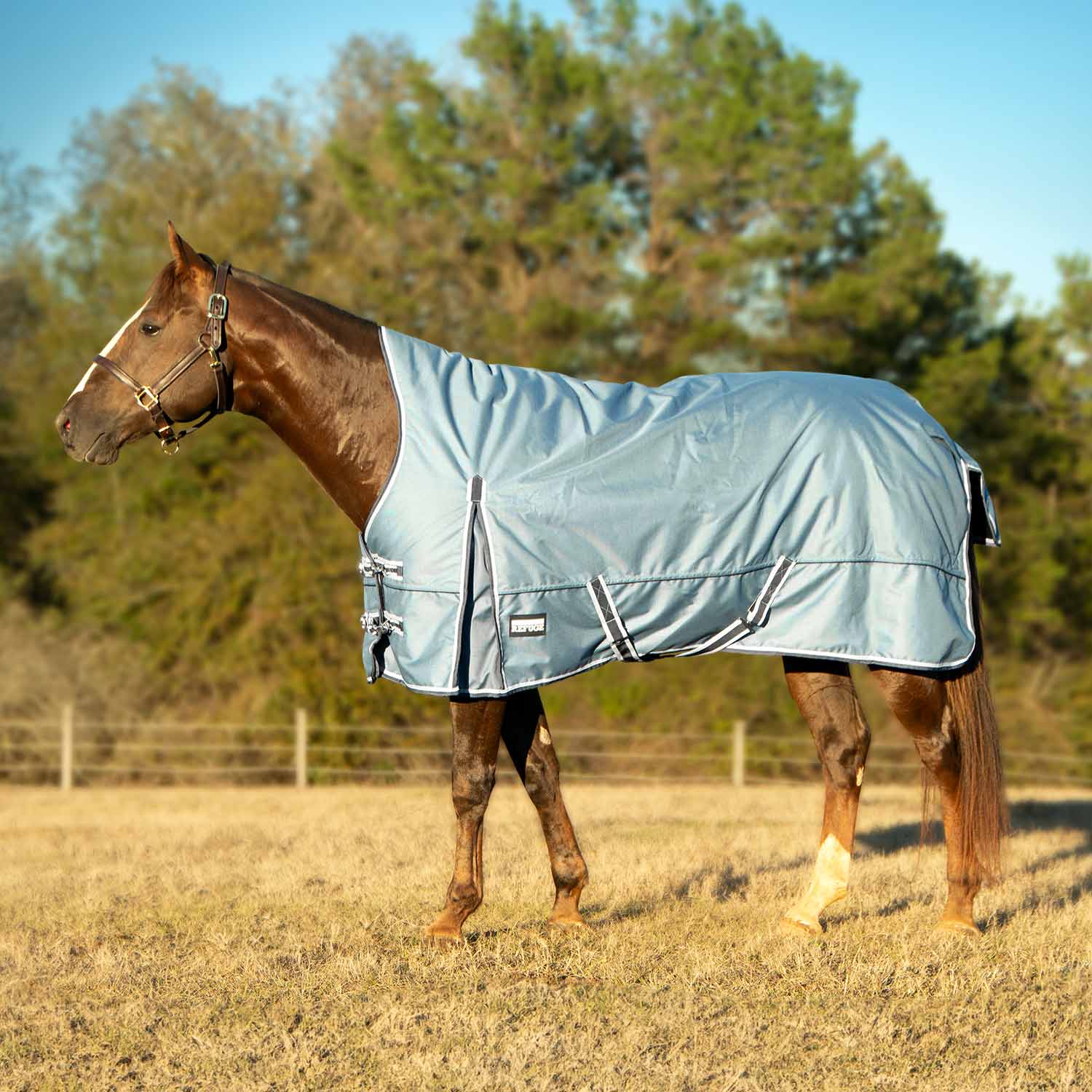 Poplar Head Refuge 1200 Denier Turnout Blanket with High Neck, 240 Gram, Hamilton Blue - Pet's Shop