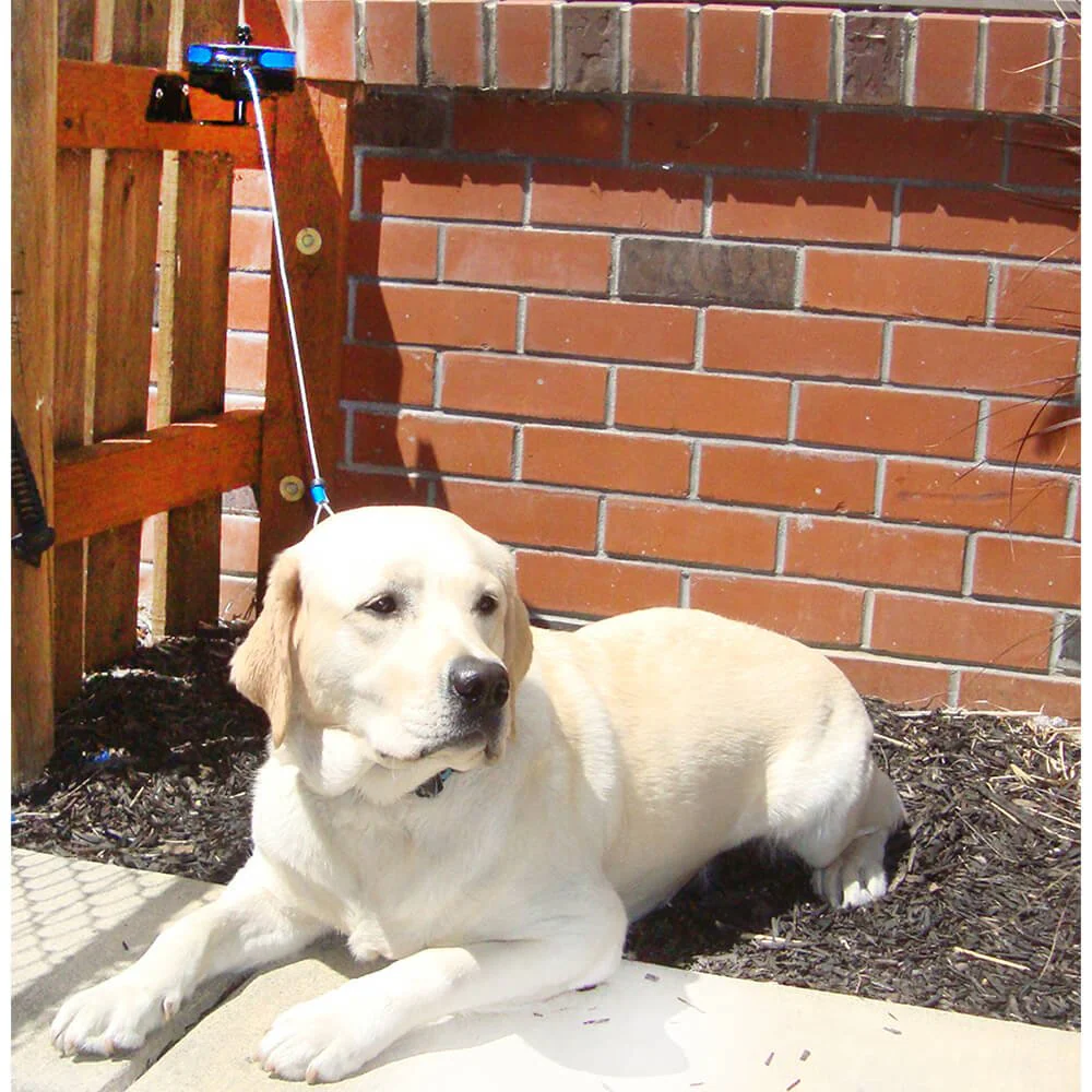 Lixit Bracket Mount Retractable Tie Out Reel for Dogs - Pet's Shop