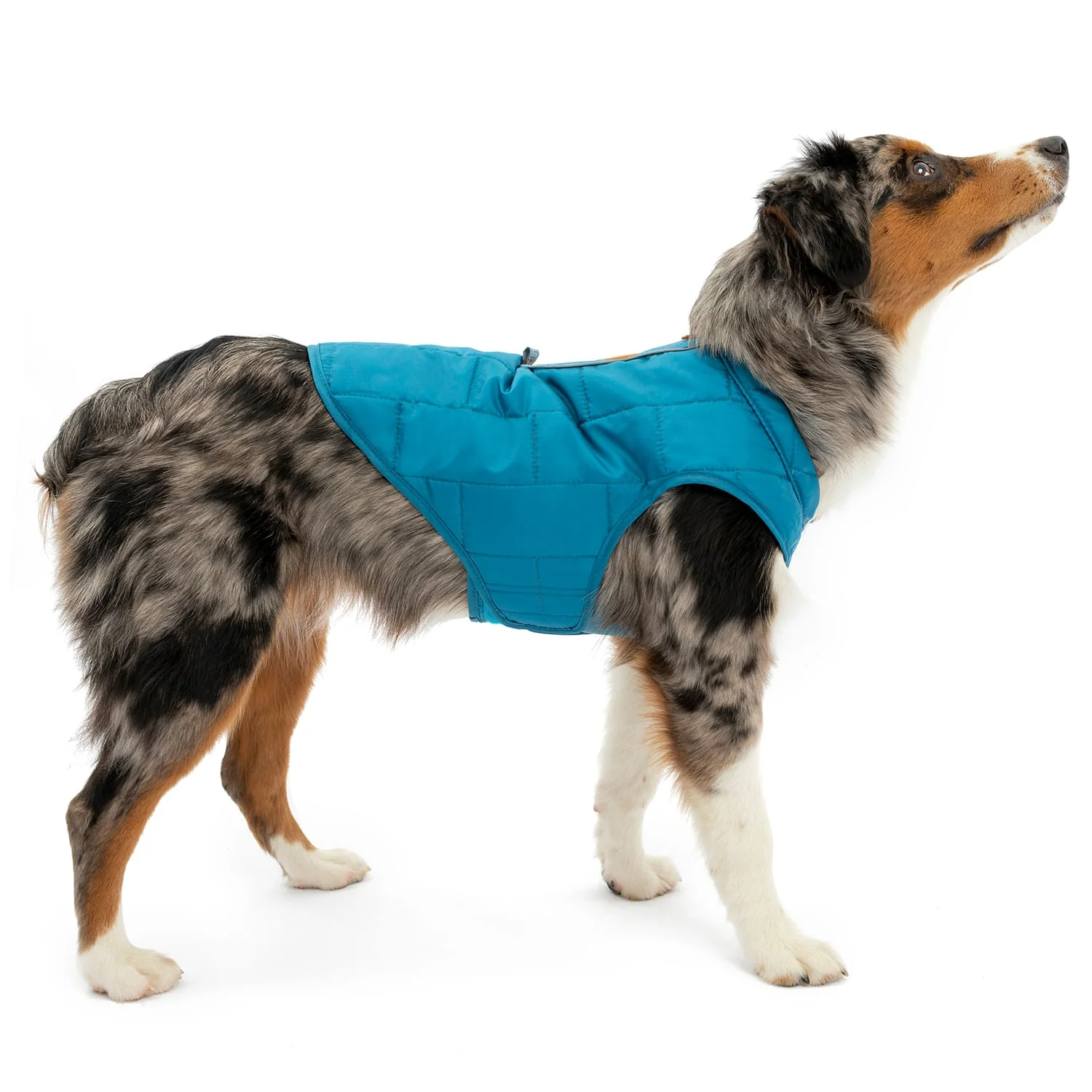 Kurgo Reversible Loft Jacket - Pet's Shop