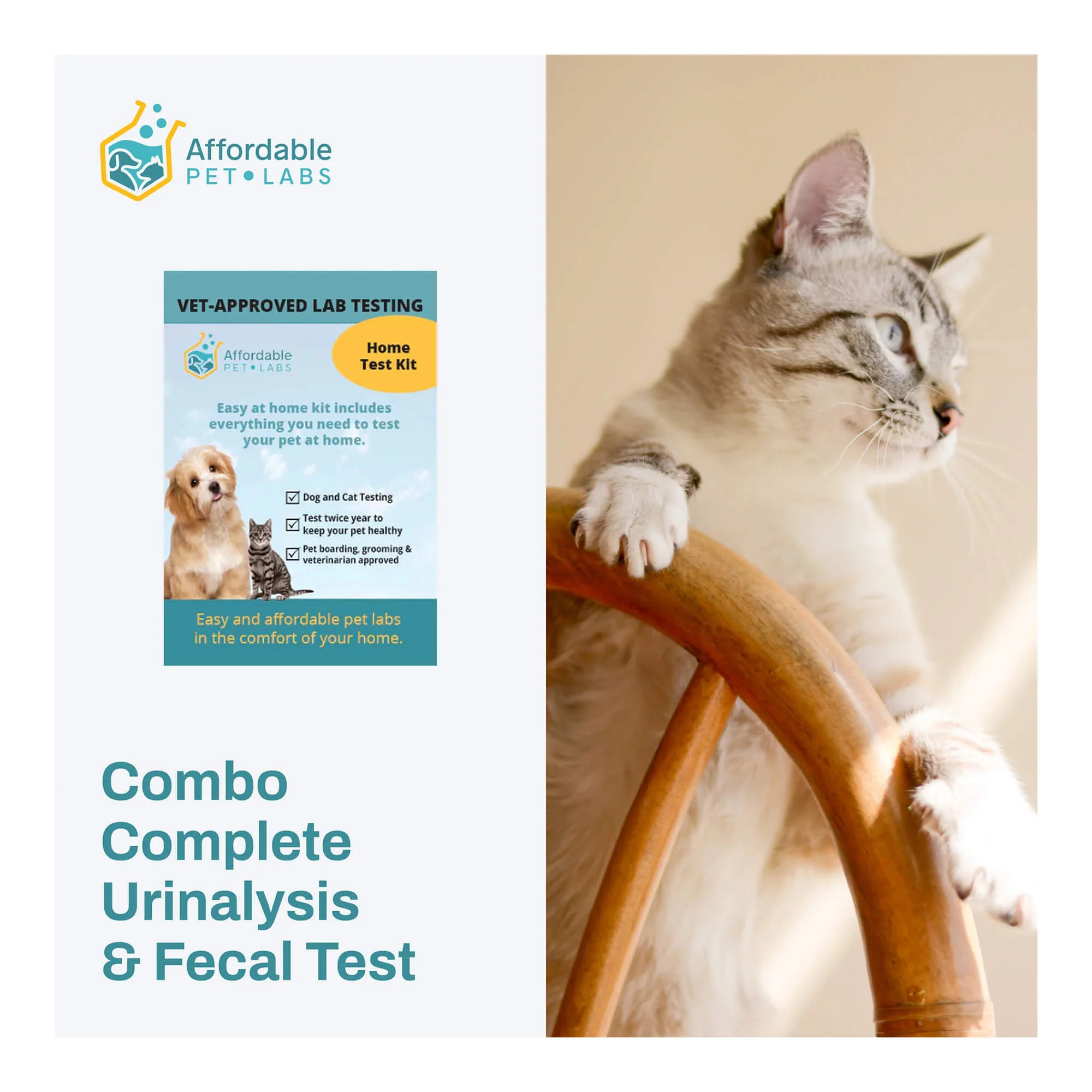 Affordable Pet Labs - Combo Complete Urinalysis & Fecal Test For Cats, Easy Home Kit - Pet's Shop