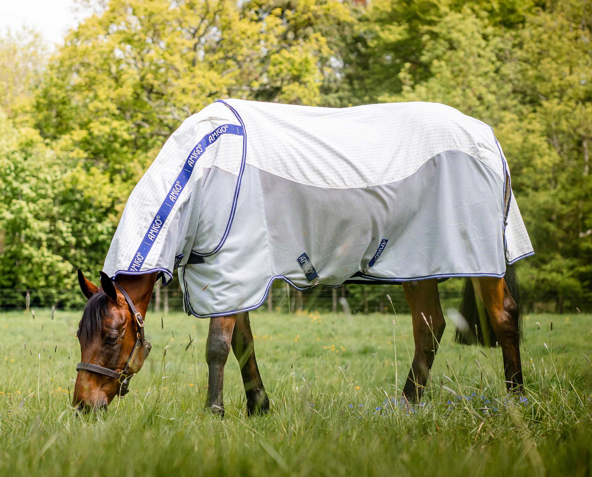 Amigo Airflow Horse Fly Sheet - Pet's Shop