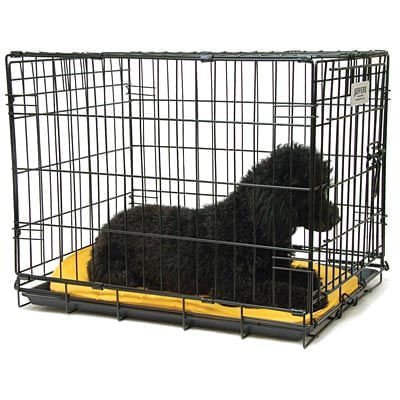 Single Door Fold & Go Wire Dog Crate - Pet's Shop