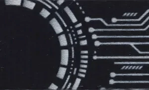 Inspire Adjustable Fashion Dog Collar - Pet's Shop