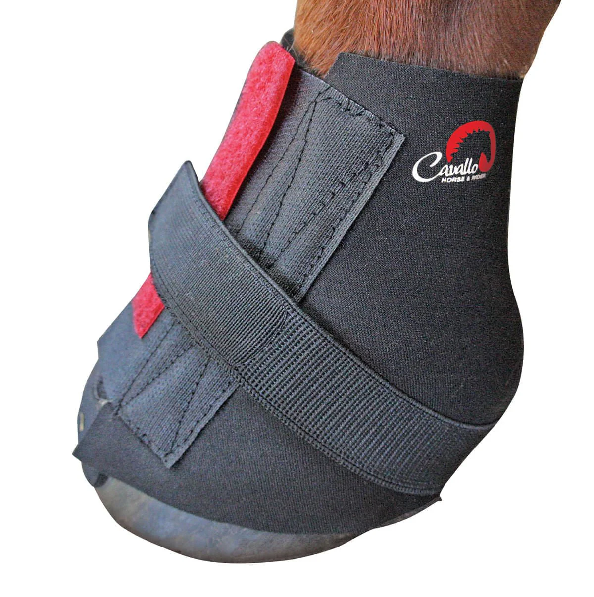 Cavallo's Pastern Wraps, pair - Pet's Shop