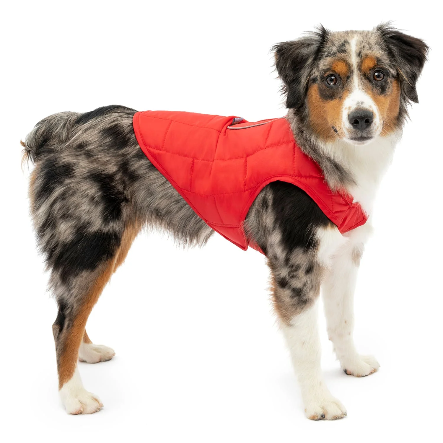 Kurgo Reversible Loft Jacket - Pet's Shop