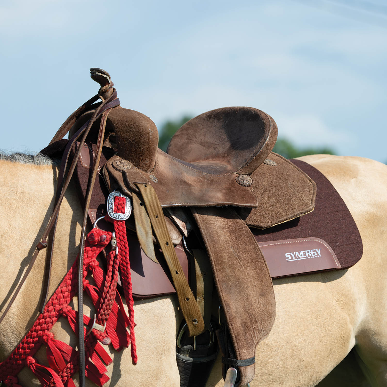Weaver Synergy Contoured Steam Pressed 100% Merino Wool Felt Performance Saddle Pad - Pet's Shop