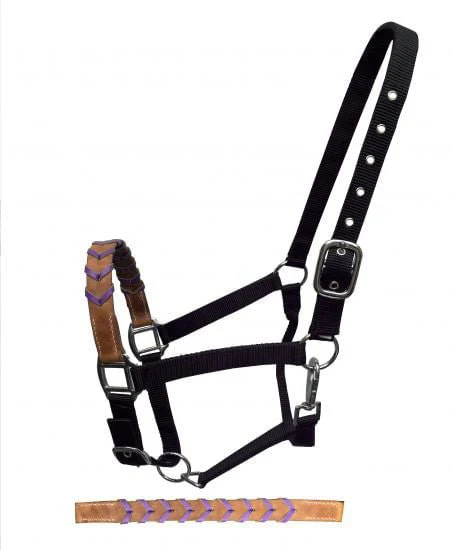 Showman Leather Nose & Buckstitch Halter - Pet's Shop