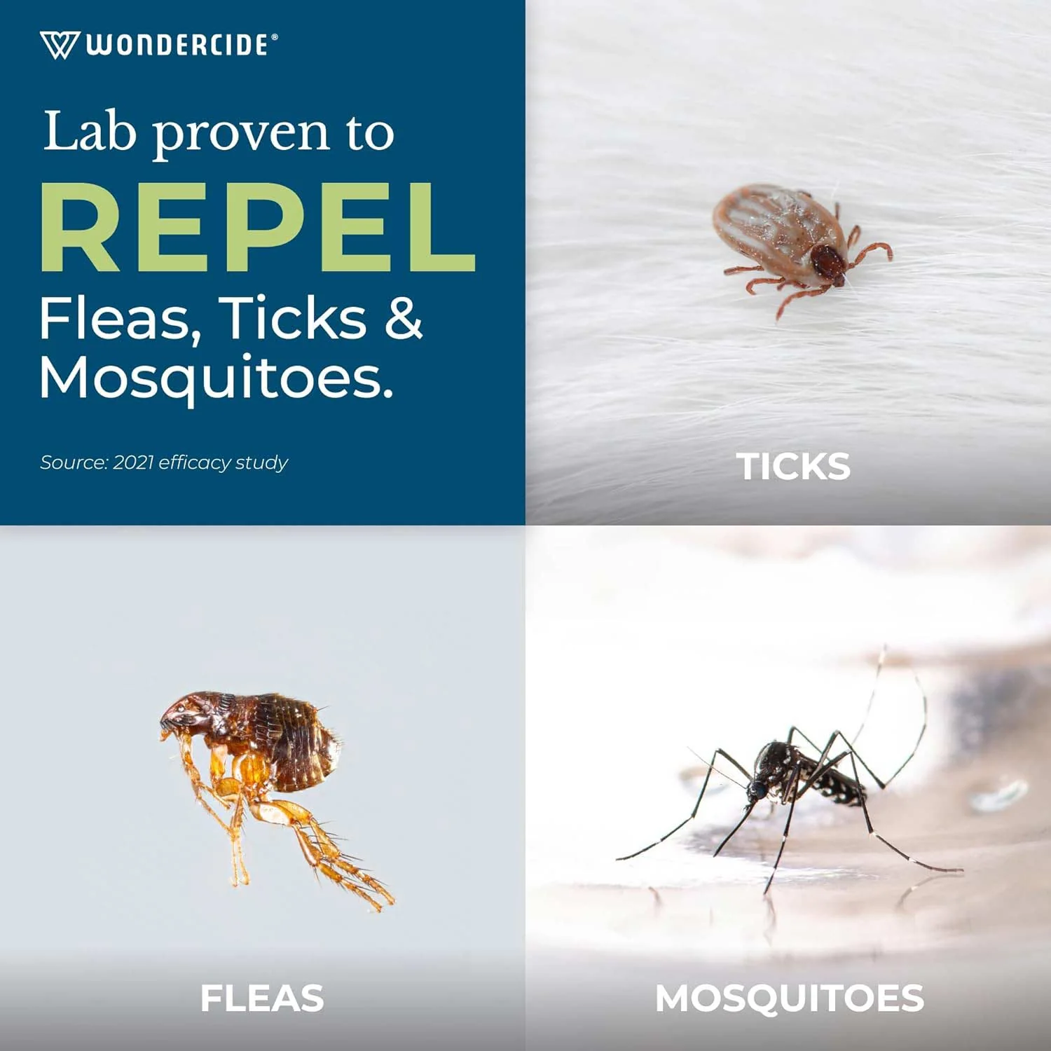 Wondercide Flea & Tick Spot On for Dogs, Peppermint - Pet's Shop