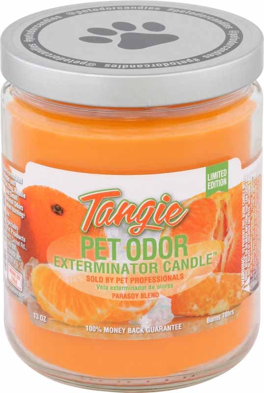 Pet Odor Exterminator Candle, Tangie, 13 oz - Pet's Shop
