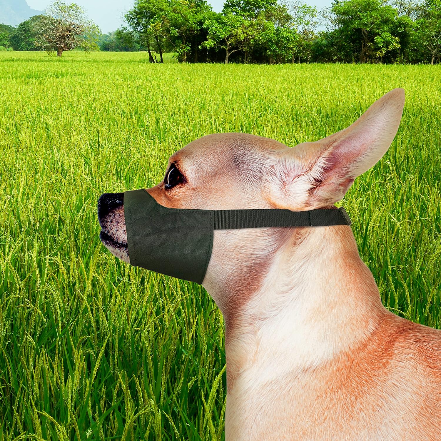 Quick-Fit Dog Muzzle by Four Paws - Pet's Shop