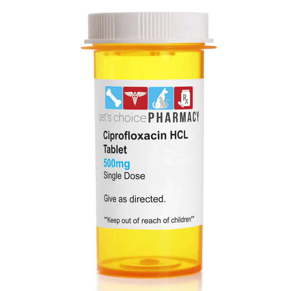 Rx Ciprofloxacin HCl (Generic) Tablets for Dogs & Cats - Pet's Shop