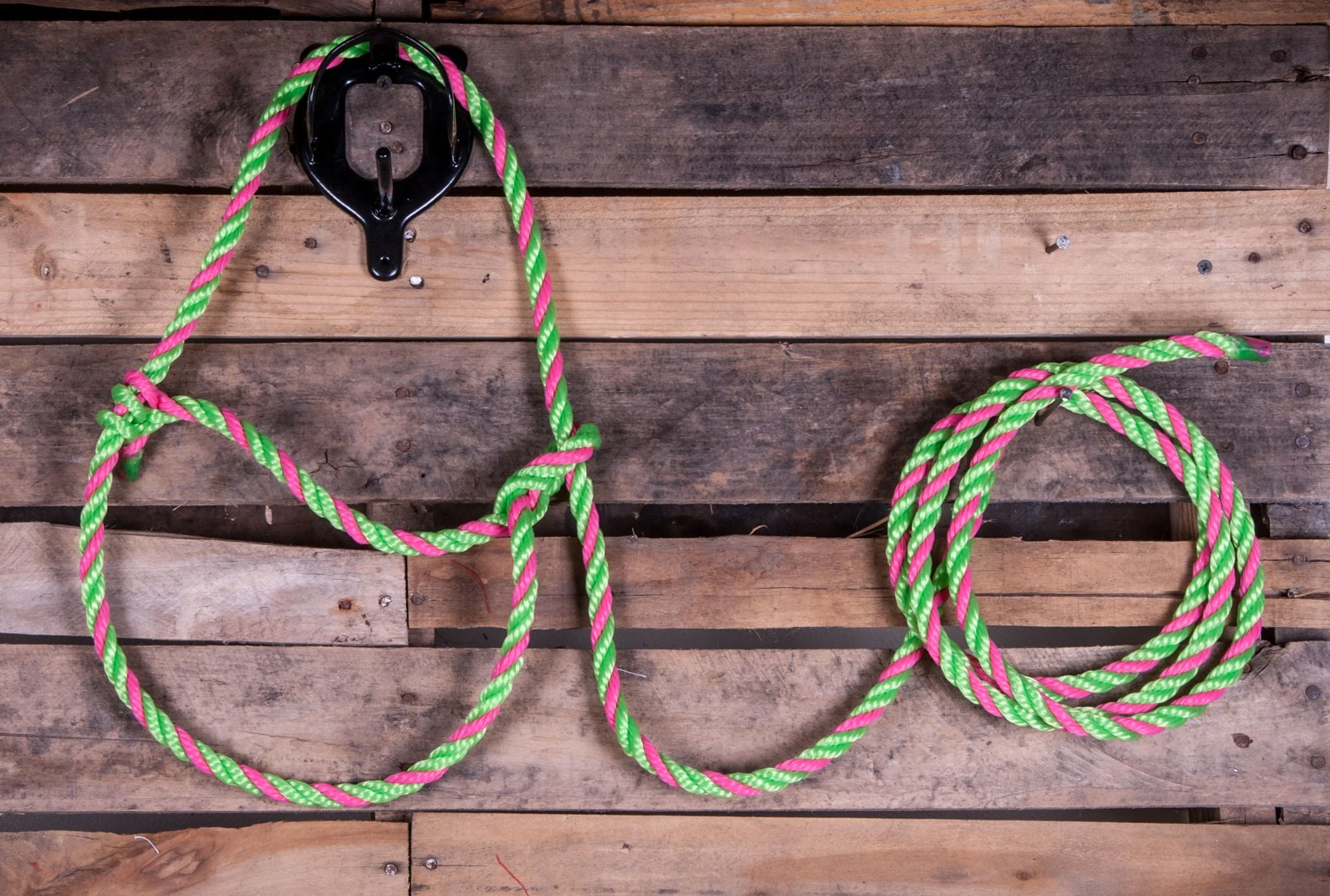 Troyer's Poly Cow Halter - Pet's Shop