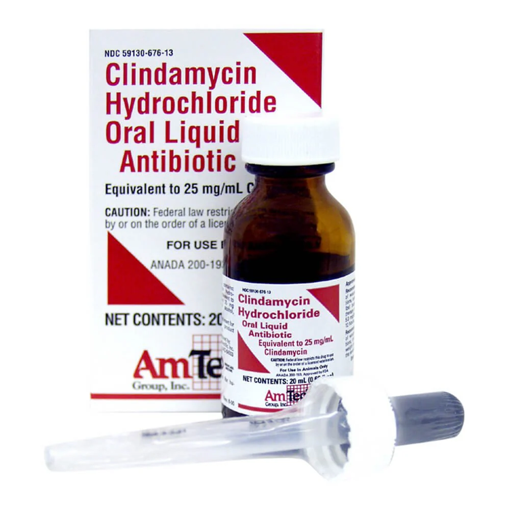 Rx Clindamycin, 25mg/ml Oral Drops x 20 ml bottle - Pet's Shop