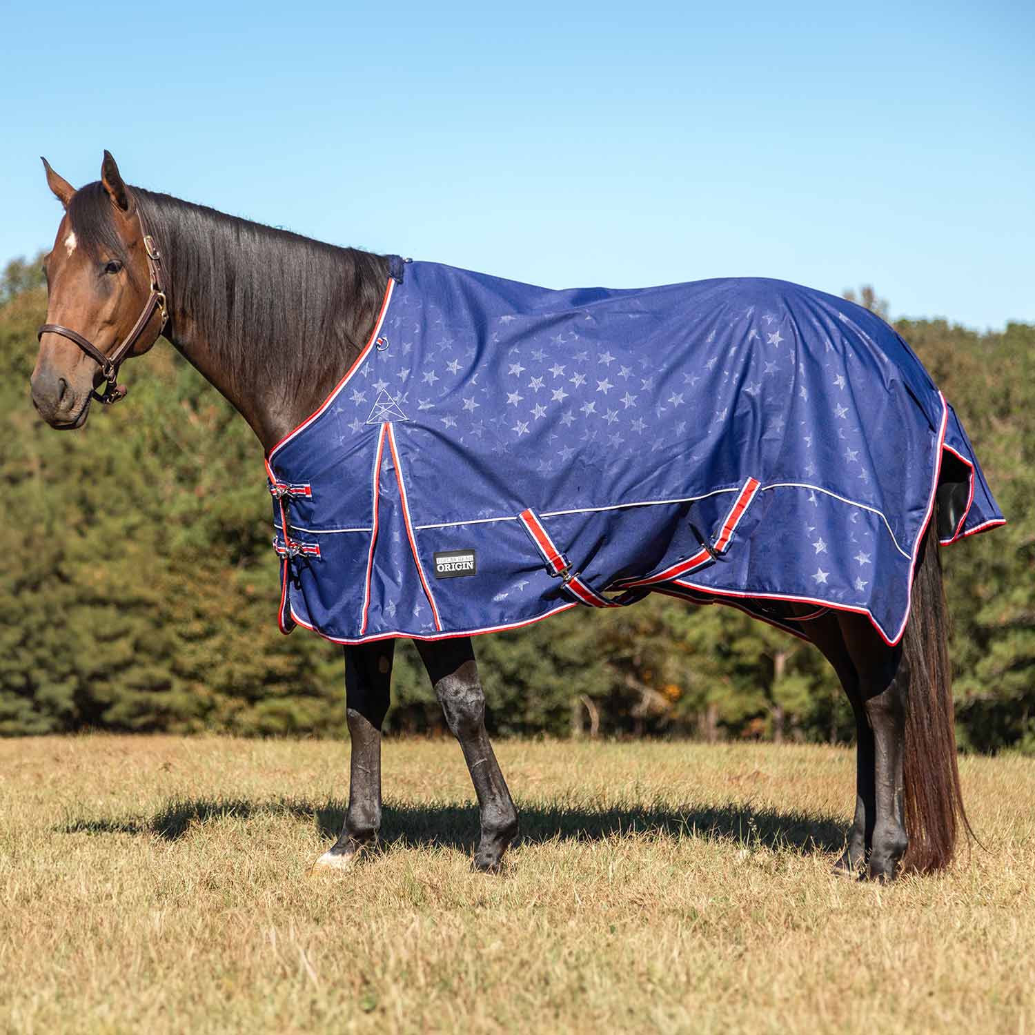 Poplar Head Origin 600 Denier Turnout Blanket, 240 Gram, Allegiance - Pet's Shop