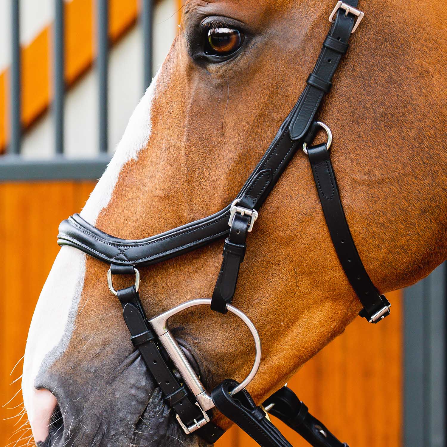 Micklem 2.0 Deluxe Competition Bridle, Black - Pet's Shop