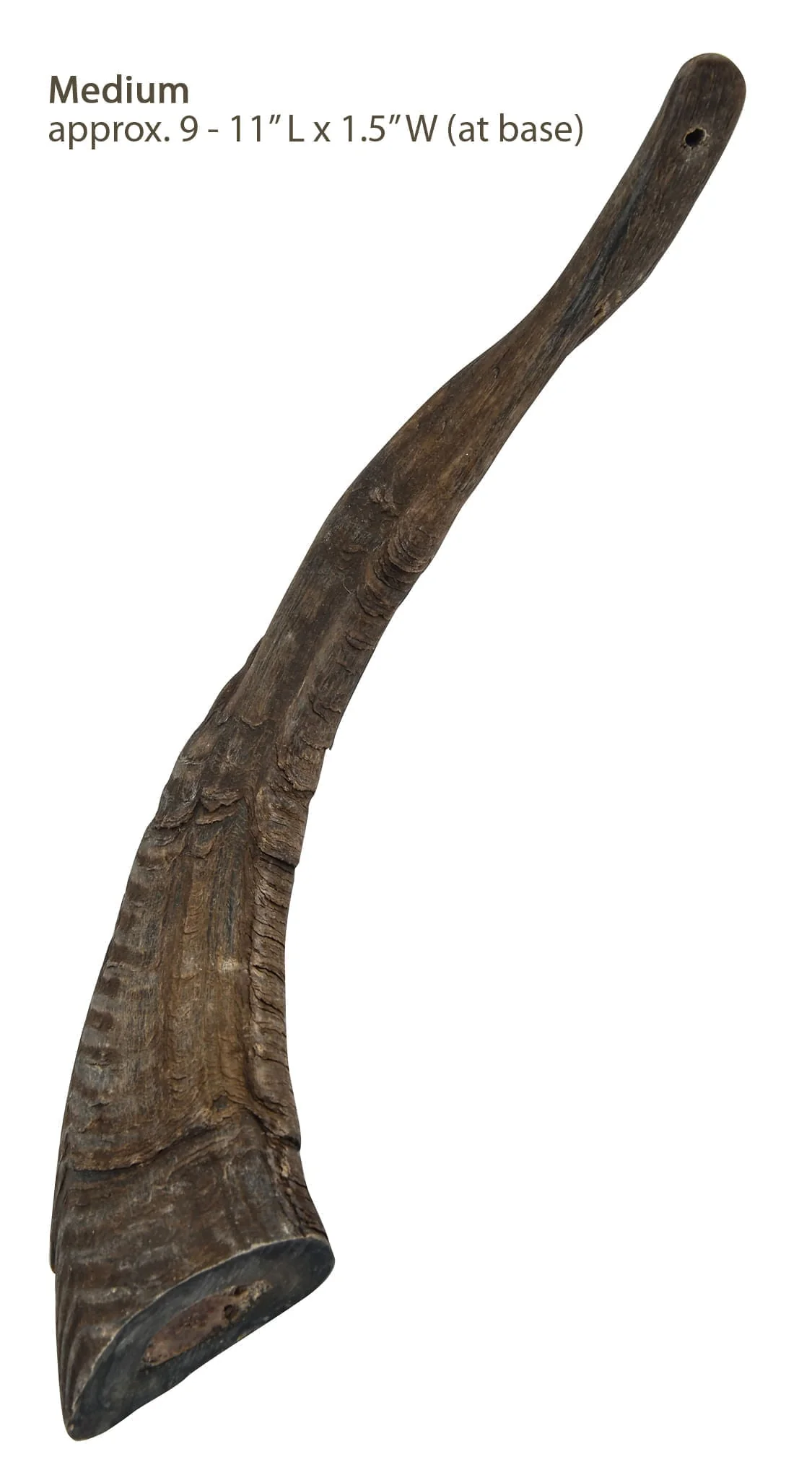 Gobi Goat Horn Natural Dog Chew - Pet's Shop
