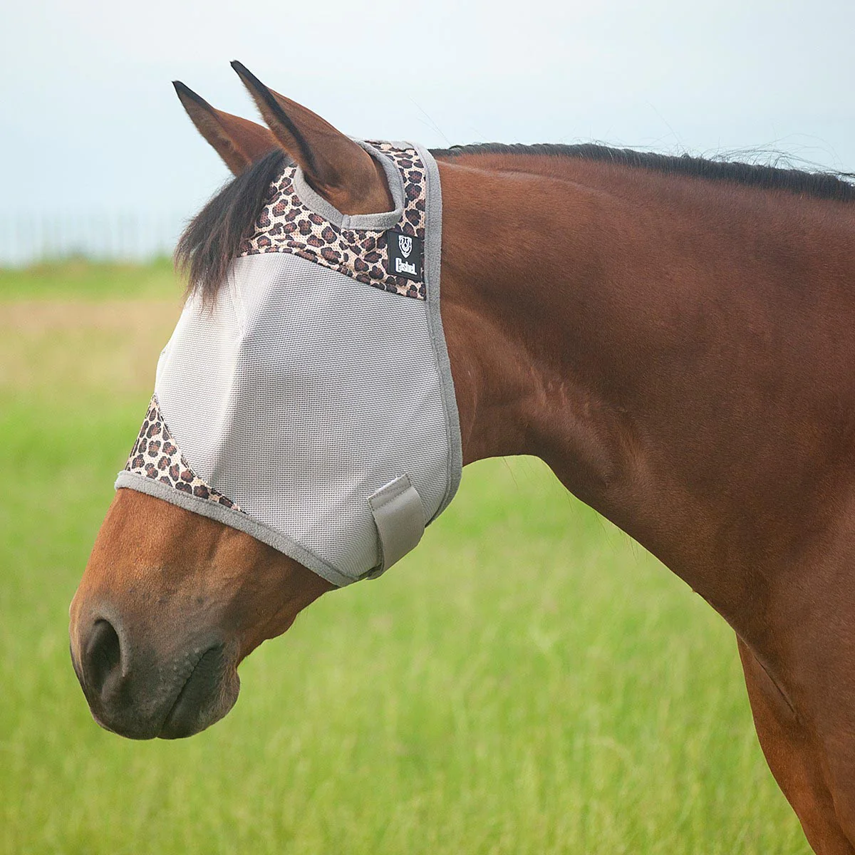 Crusader Fly Mask - Pet's Shop