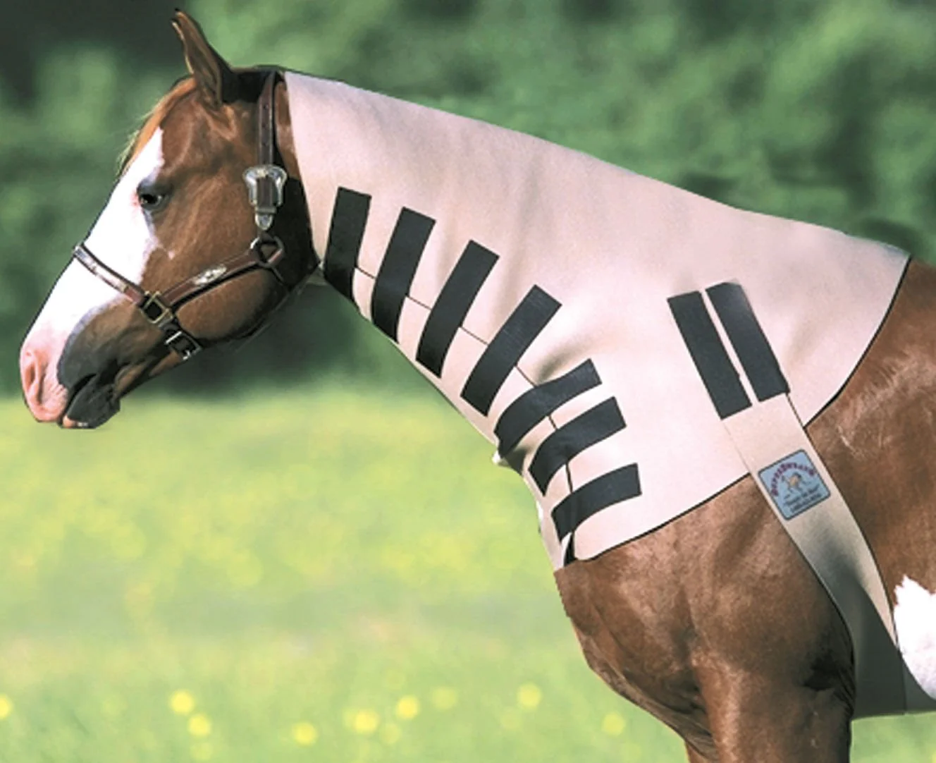 SuperSweats - Pet's Shop