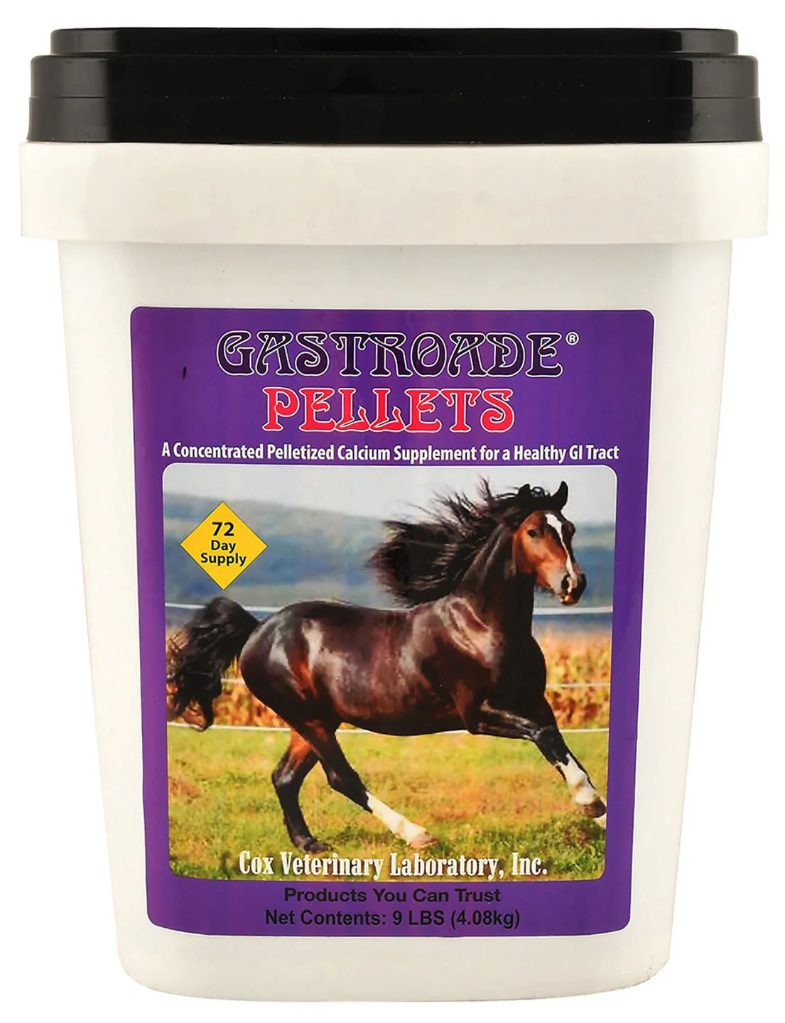 Gastroade Pellets for Healthy GI Tract in Horses - Pet's Shop