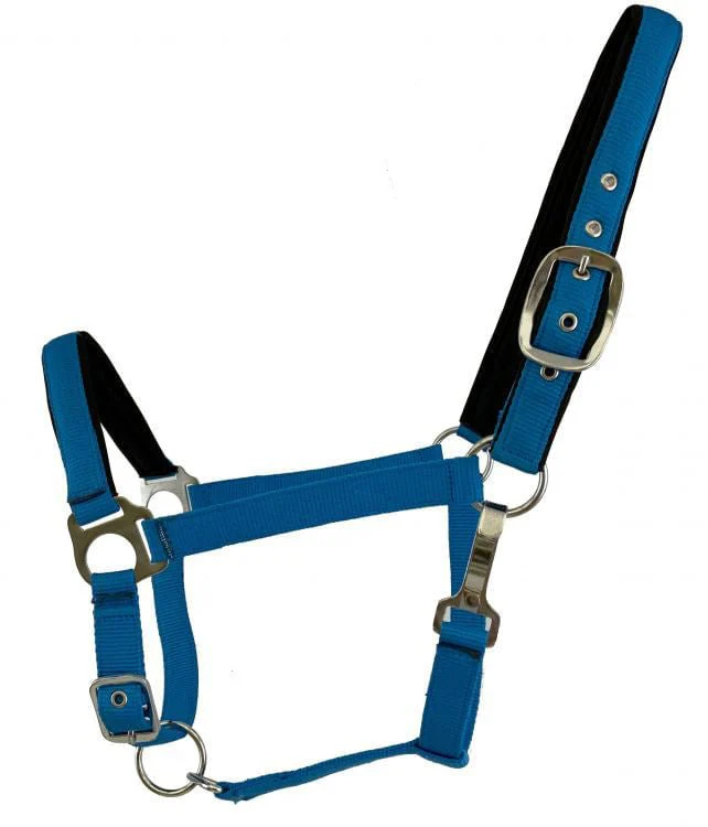 Showman Fluorescent Halters, Full - Pet's Shop