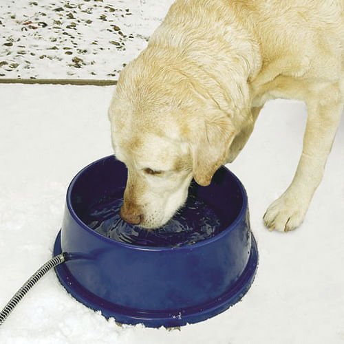 K&H Thermal-Bowl Heated Water Bowl - Pet's Shop