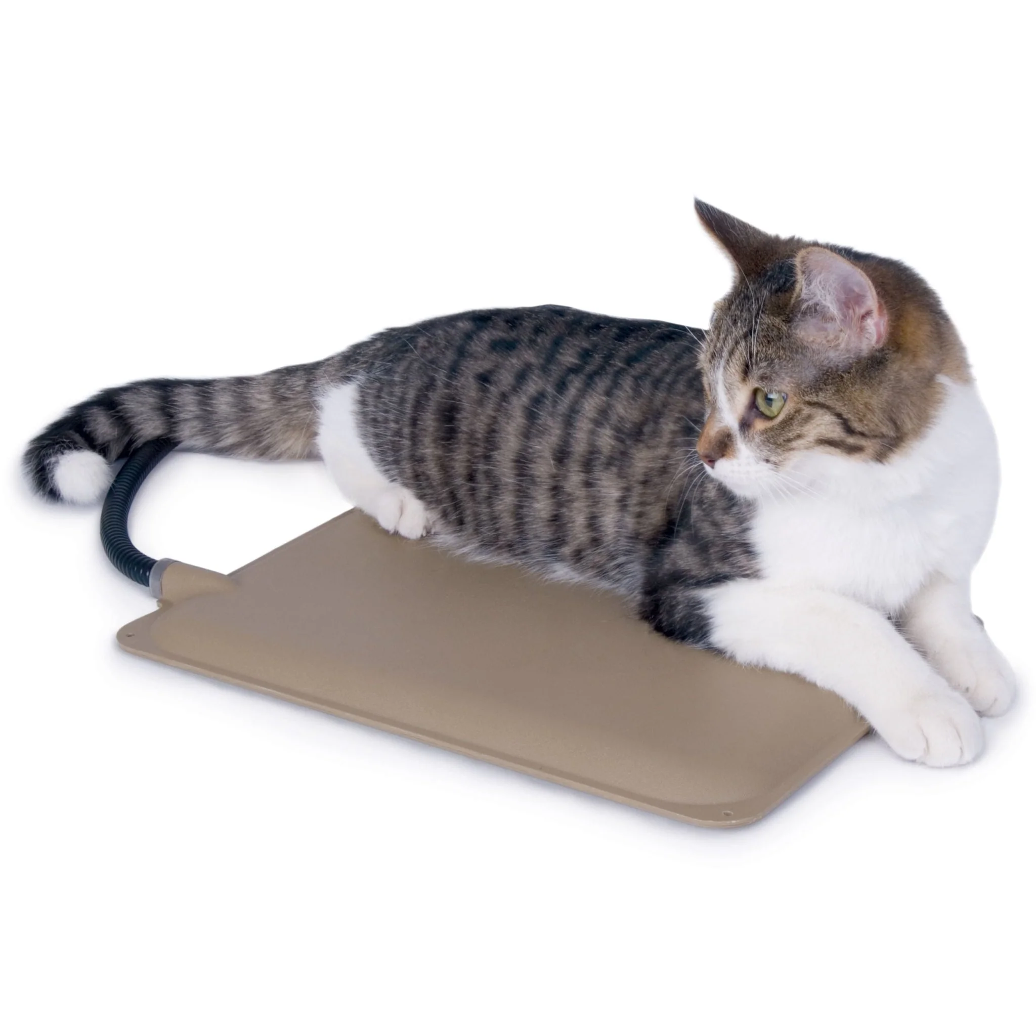K&H Small Animal Heated Pad (& Accessories) - Pet's Shop