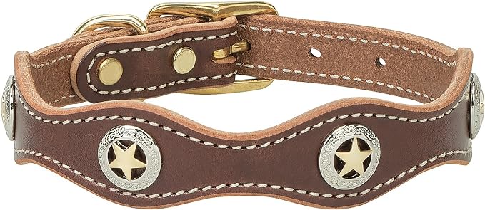Weaver Lonestar Dog Collar - Pet's Shop