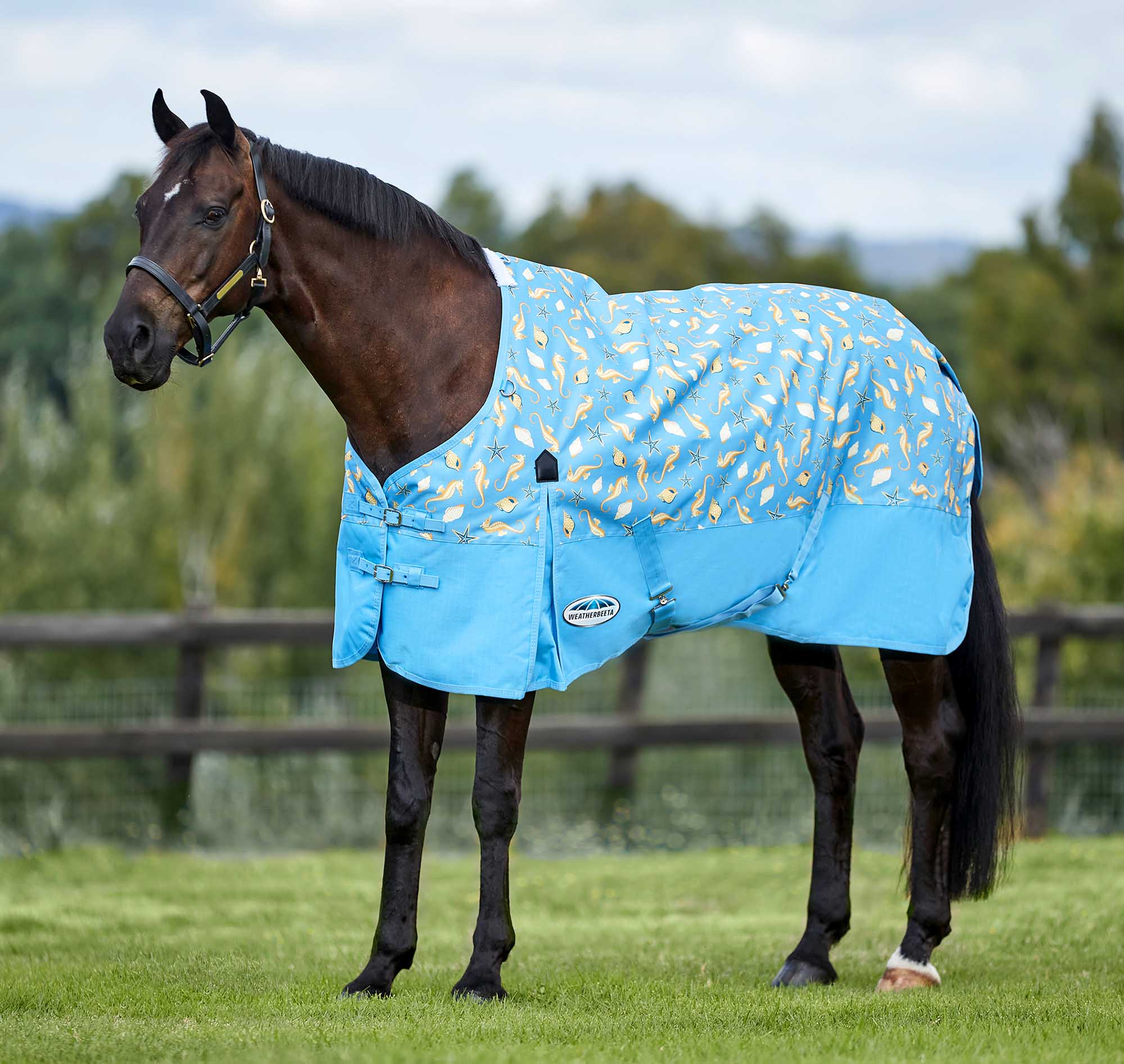 WeatherBeeta ComFITec Essential Standard Neck Lite Horse Fly Sheet, Seahorse - Pet's Shop