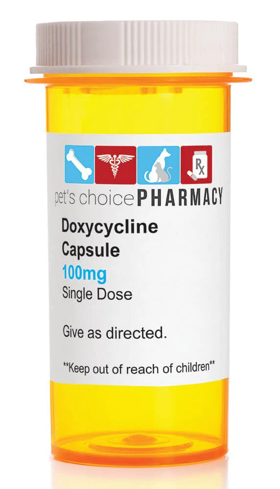 Rx Doxycycline Hyclate (Generic) Capsules - Pet's Shop